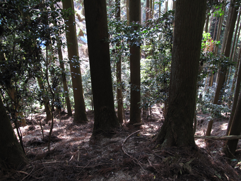20131124hike (422)